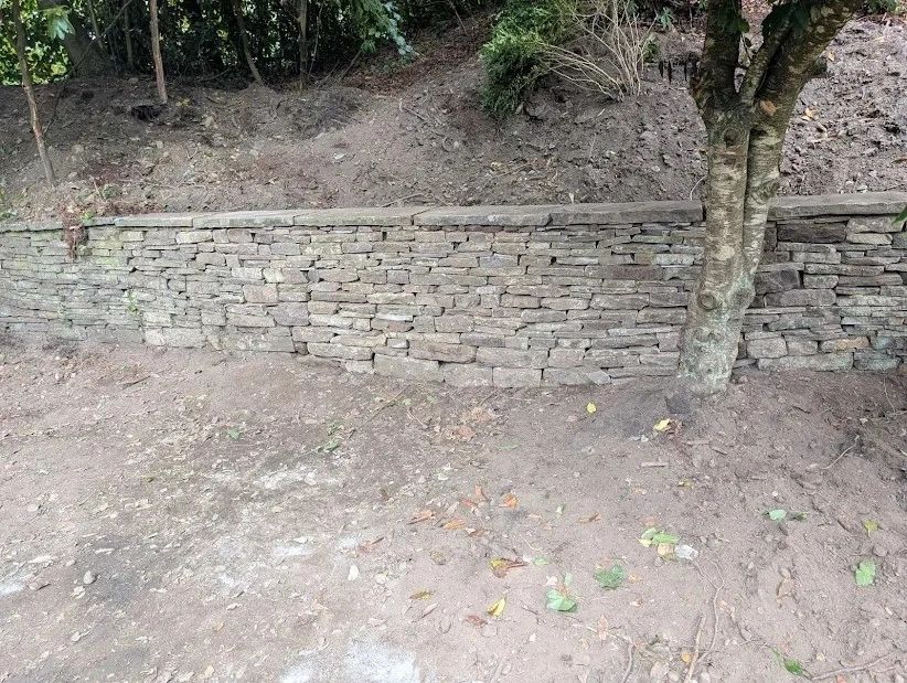 Stone retaining wall with a tree growing beside it in a dirt area.